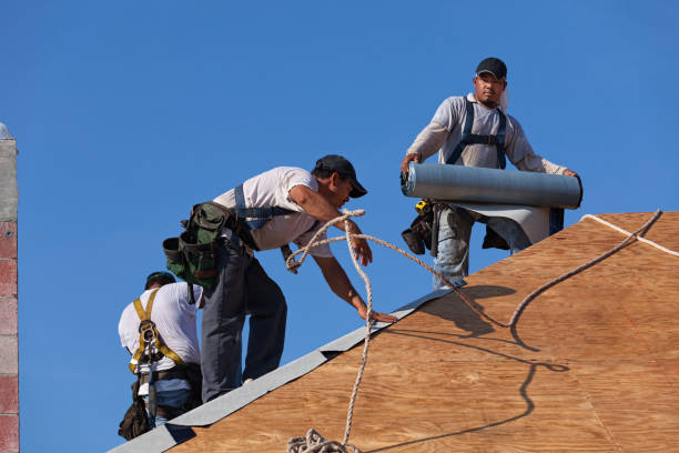 Best Storm Damage Roof Repair  in Horicon, WI